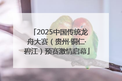 2025中国传统龙舟大赛（贵州·铜仁·碧江）预赛激情启幕