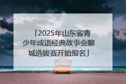 2025年山东省青少年成语经典故事会聊城选拔赛开始报名