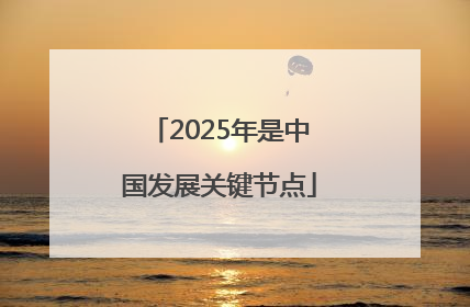2025年是中国发展关键节点
