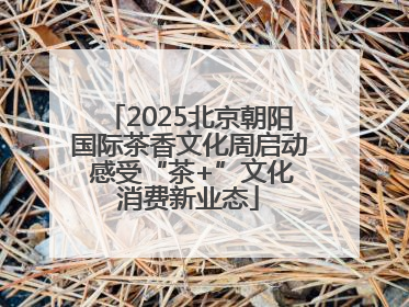 2025北京朝阳国际茶香文化周启动 感受“茶+”文化消费新业态