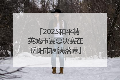 2025和平精英城市赛总决赛在岳阳市圆满落幕