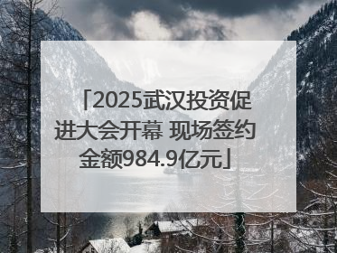 2025武汉投资促进大会开幕 现场签约金额984.9亿元