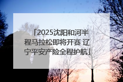 2025沈阳和河半程马拉松即将开赛 辽宁平安产险全程护航