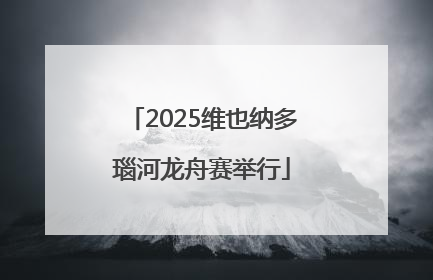 2025维也纳多瑙河龙舟赛举行