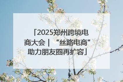 2025郑州跨境电商大会｜“丝路电商”助力朋友圈再扩容