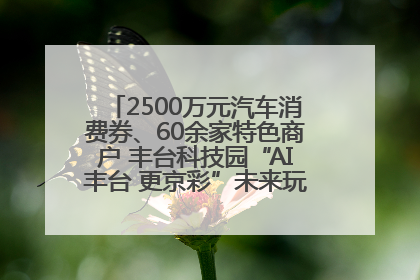 2500万元汽车消费券、60余家特色商户 丰台科技园“AI丰台 更京彩”未来玩家市集活动正式开幕