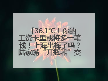 36.1℃！你的工资卡里或将多一笔钱！上海出梅了吗？陆家嘴“开瓶器”变“加湿器”？