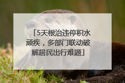 5天根治违停积水顽疾，多部门联动破解居民出行难题