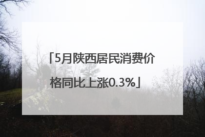 5月陕西居民消费价格同比上涨0.3%