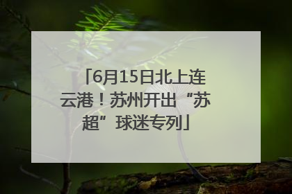 6月15日北上连云港！苏州开出“苏超”球迷专列