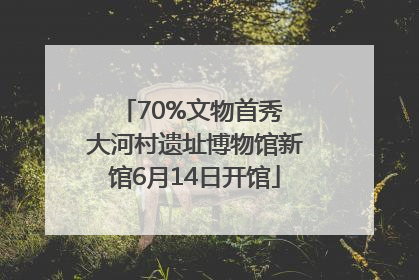 70%文物首秀 大河村遗址博物馆新馆6月14日开馆