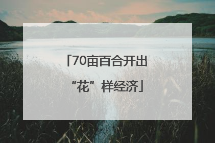 70亩百合开出“花”样经济