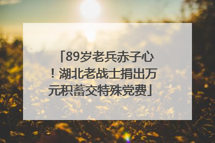 89岁老兵赤子心！湖北老战士捐出万元积蓄交特殊党费