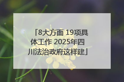8大方面 19项具体工作 2025年四川法治政府这样建