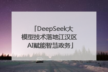 DeepSeek大模型技术落地江汉区 AI赋能智慧政务