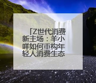 Z世代消费新主场：羊小咩如何重构年轻人消费生态？